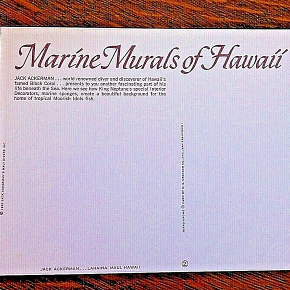 Vintage Postcard Marine Murals Hawaii Moorish Idols Fish & Black Coral Unposted - Picture 2 of 16
